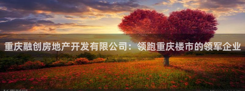 万向娱乐平台下载安装