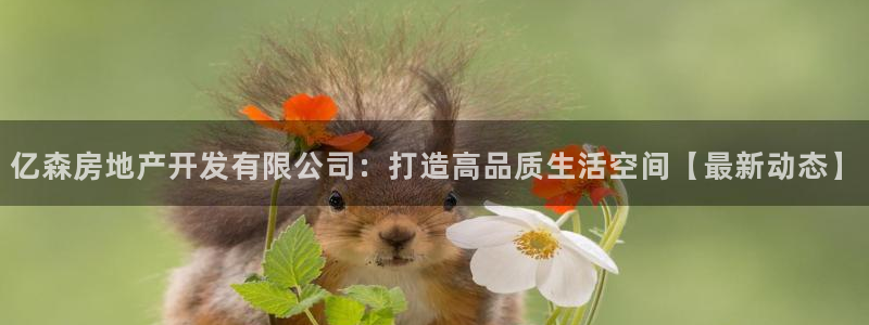 万向娱乐注册登录不了