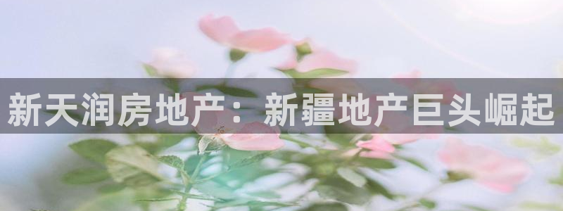 万向娱乐网址是什么