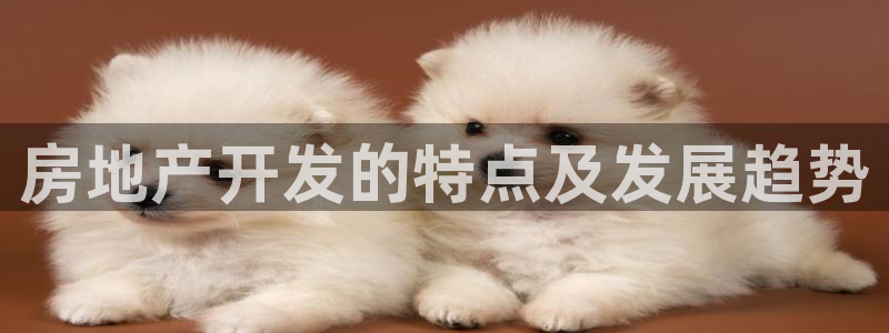 万向娱乐平台代理怎么做的