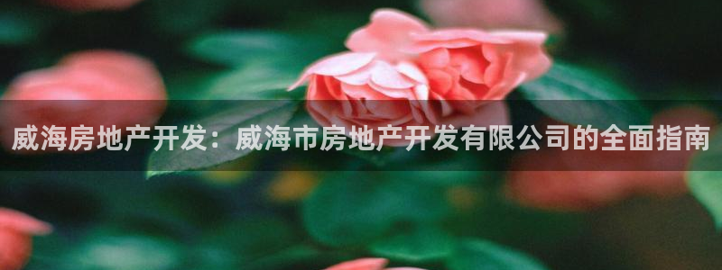 万向娱乐官网网址是多少