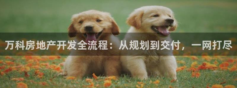 万向娱乐平台下载安装手机版