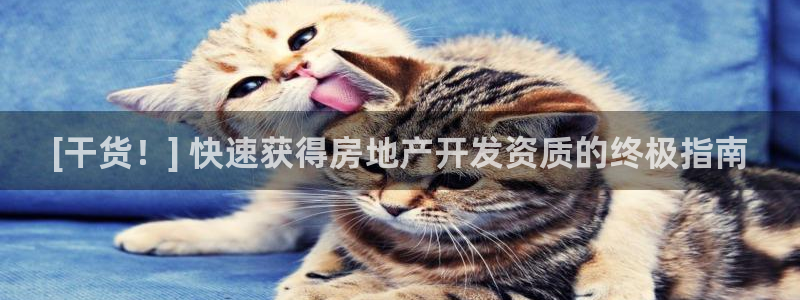 万向娱乐app下载官网